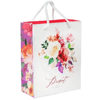 Пакет "Present", Принцессы, 12х15х5,5 см