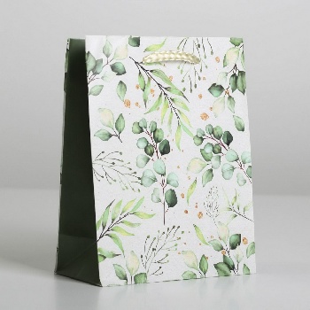 Пакет ламинированный Present for you, зеленый 