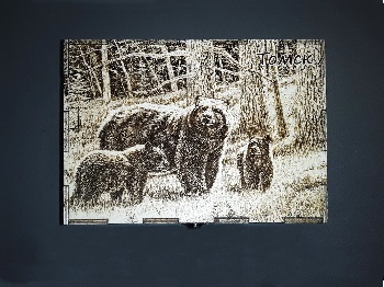 Шкатулка Томск Медведи 15*10*9  3д (М)