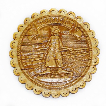 Магнит Томск д.5 Чехов ромашка