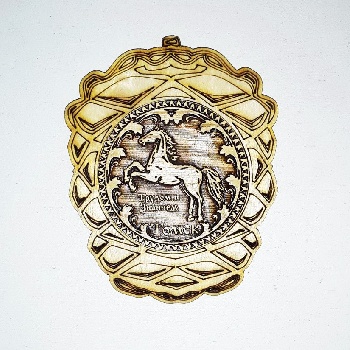 Магнит Томск Шишка 9*7 береста (Б)