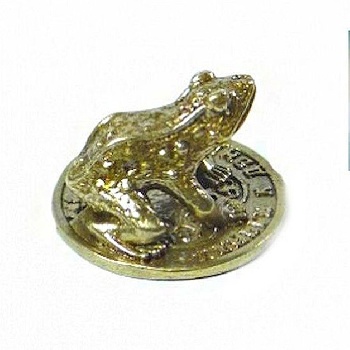 Жаба на монете 1 миллион рублей