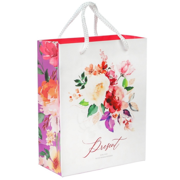Пакет "Present", Принцессы, 12х15х5,5 см