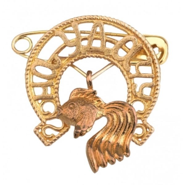 Булавочка подкова на удачу (Рыбка)