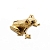 Лягушка кошельковая золотая
